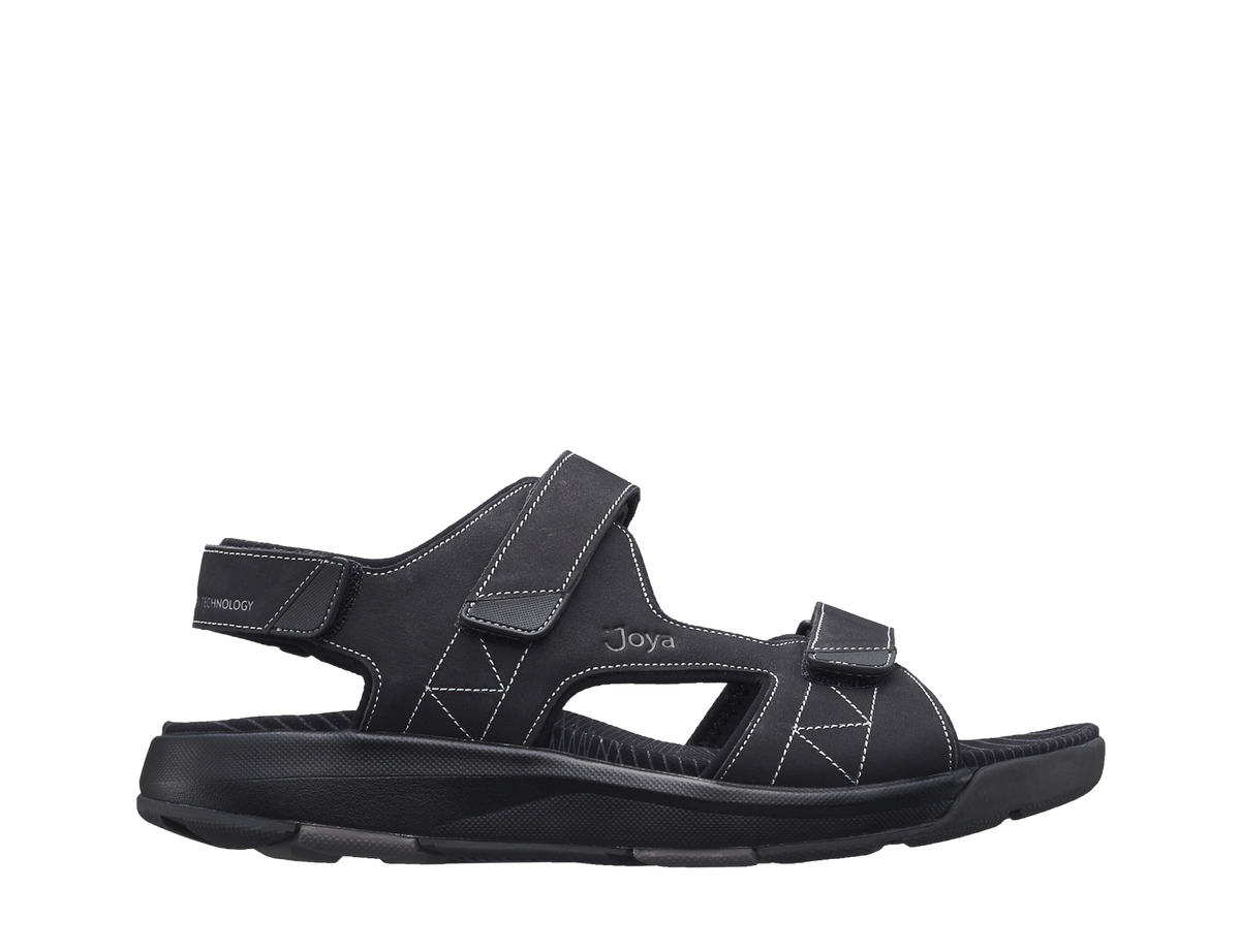 241san_Alexander_Black_a