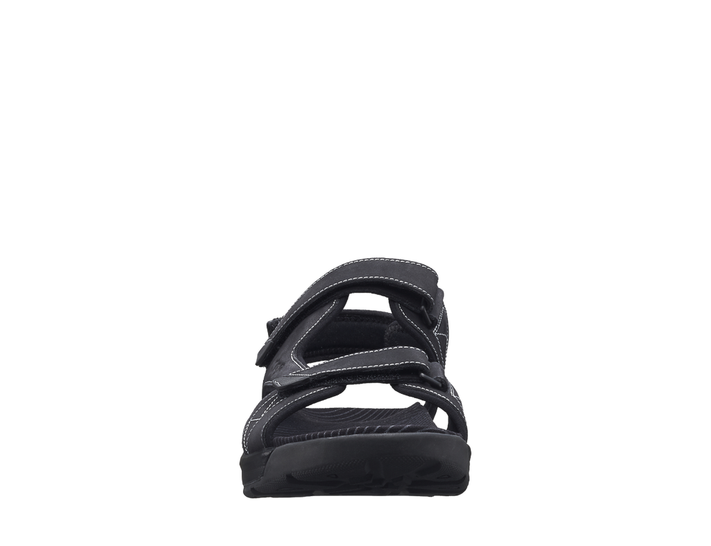 241san_Alexander_Black_b