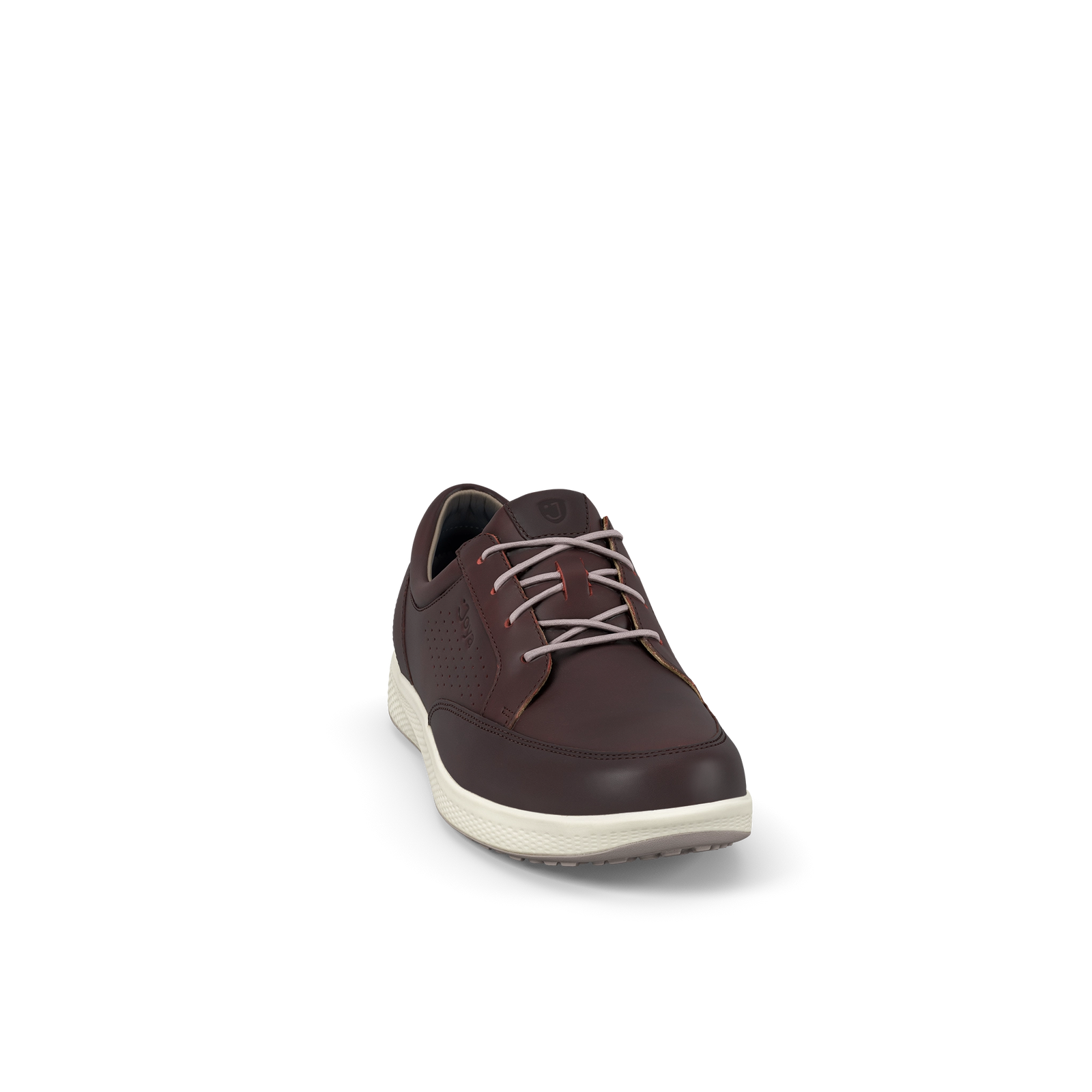 250cas_c