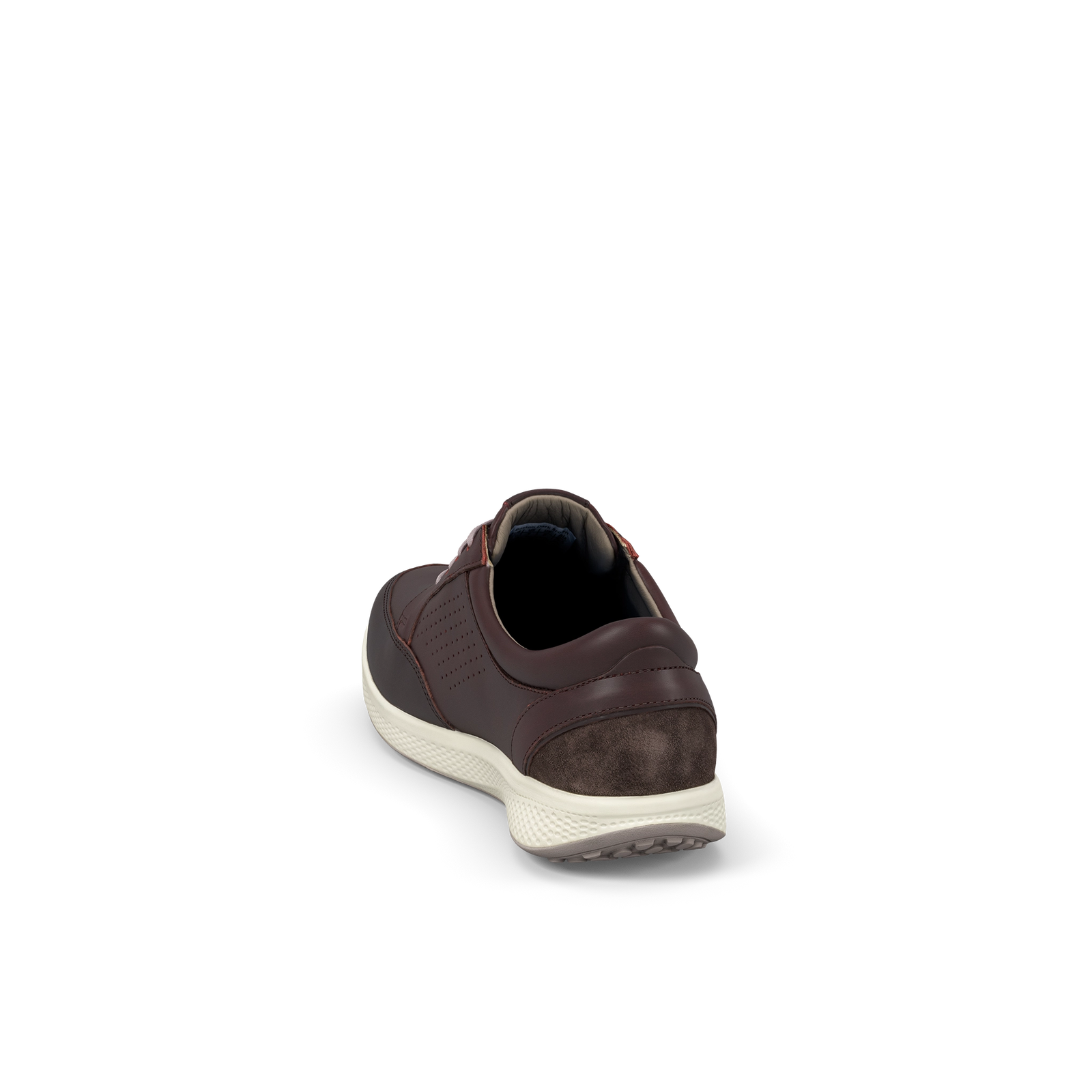 250cas_d