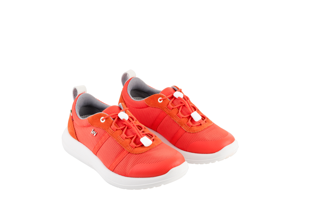 AW166A_b