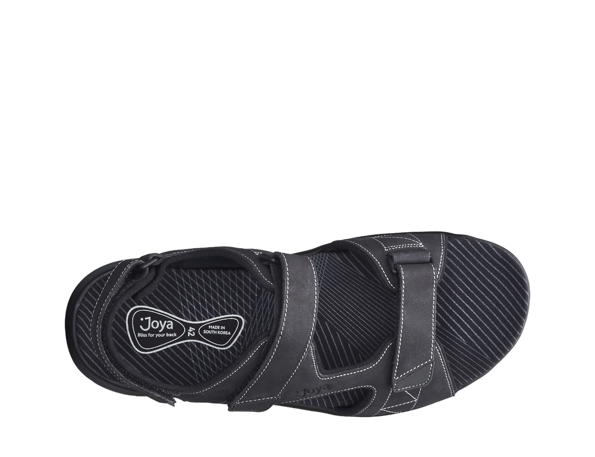 241san_Alexander_Black_e