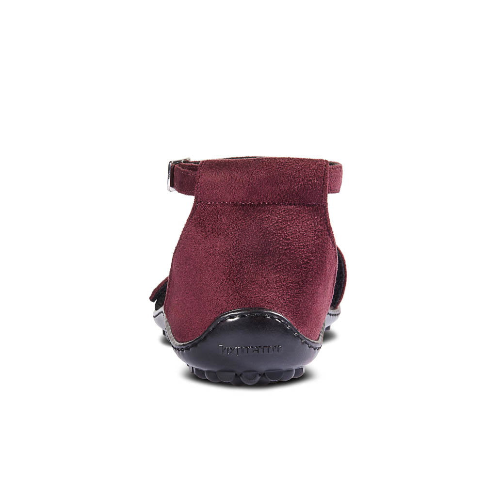 leguano jara bordeaux