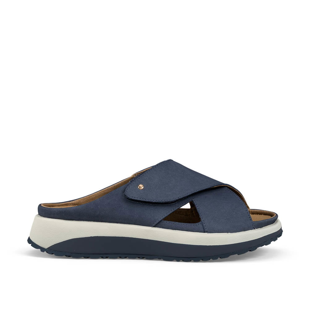Alicante blue, 41