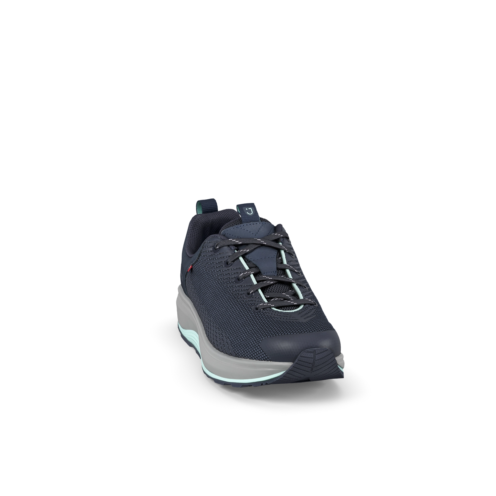 961sne_c