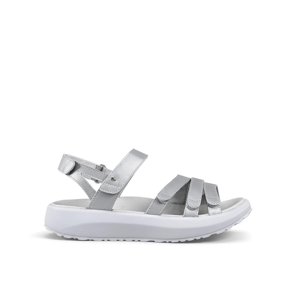 JY079A_Merida_silver_a