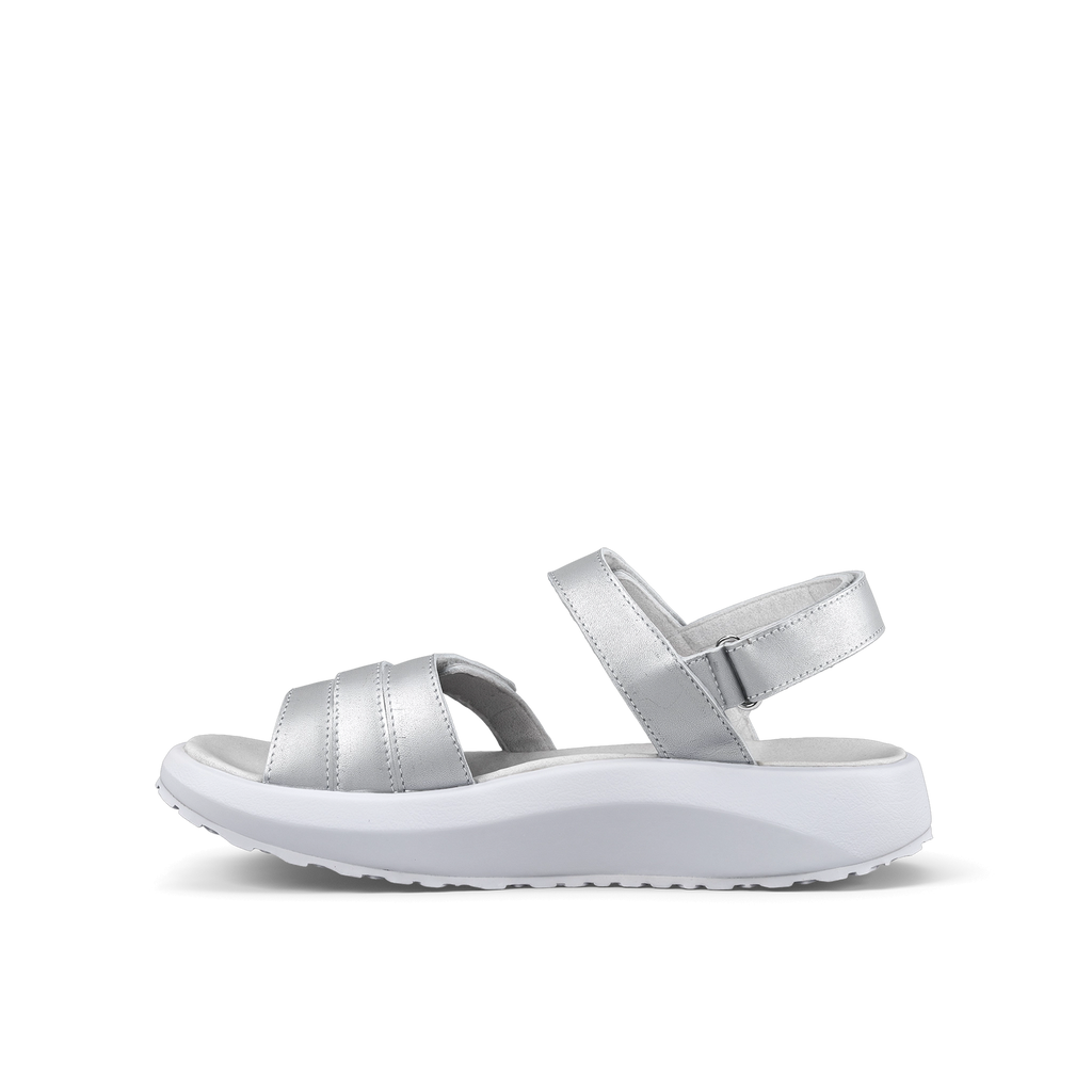 JY079A_Merida_silver_b