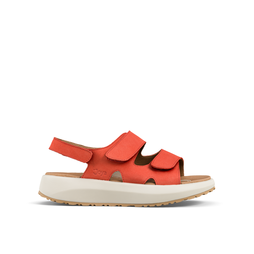 JY117A_Panama_red_a