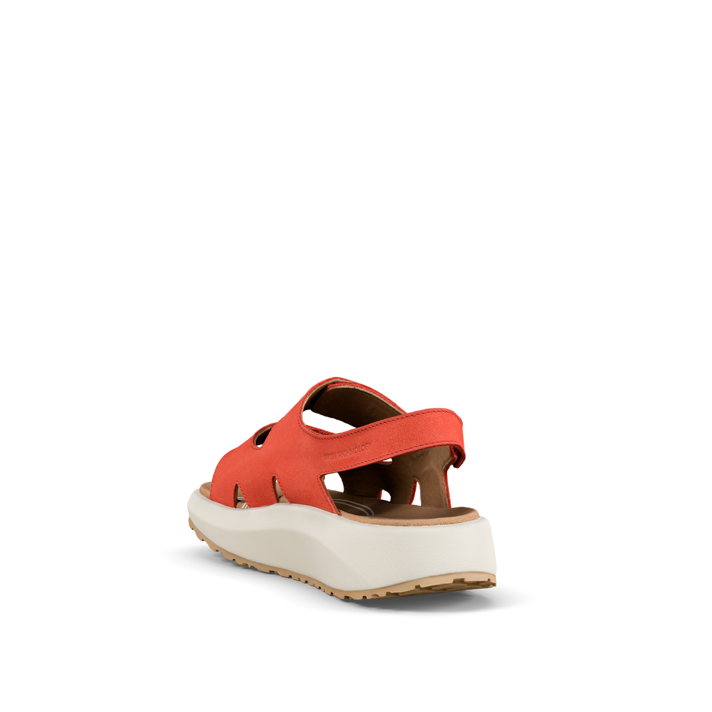 JY117A_Panama_red_d