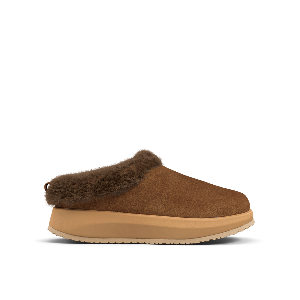 JY143A_Riga_brown_II_a