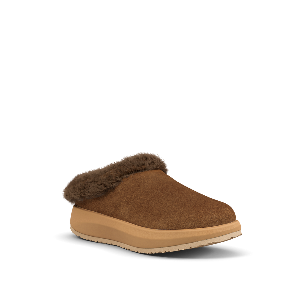 JY143A_Riga_brown_II_b
