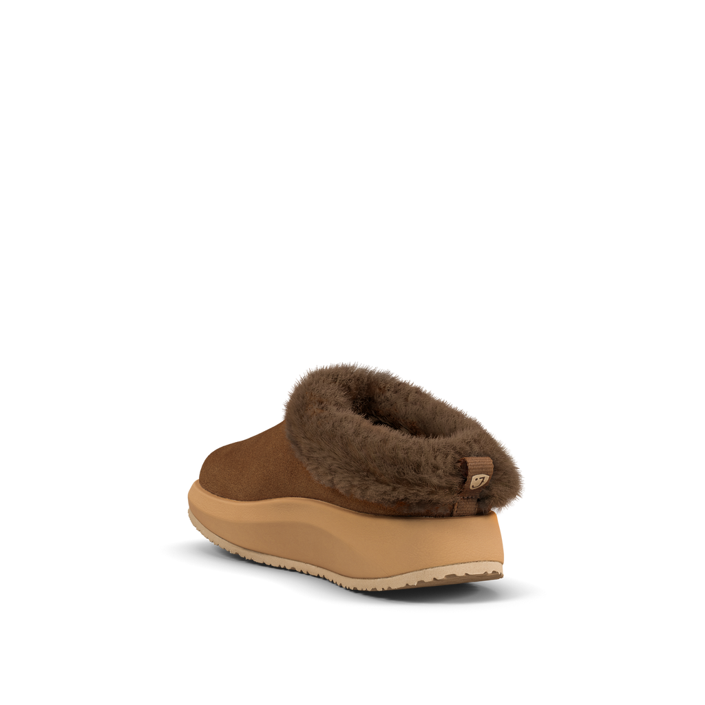 JY143A_Riga_brown_II_c