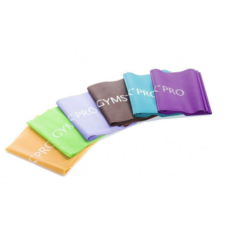 Gymstick Pro Exercise Fitnessband