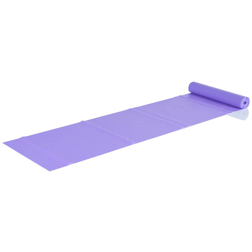 Gymstick Pro Exercise Fitnessband