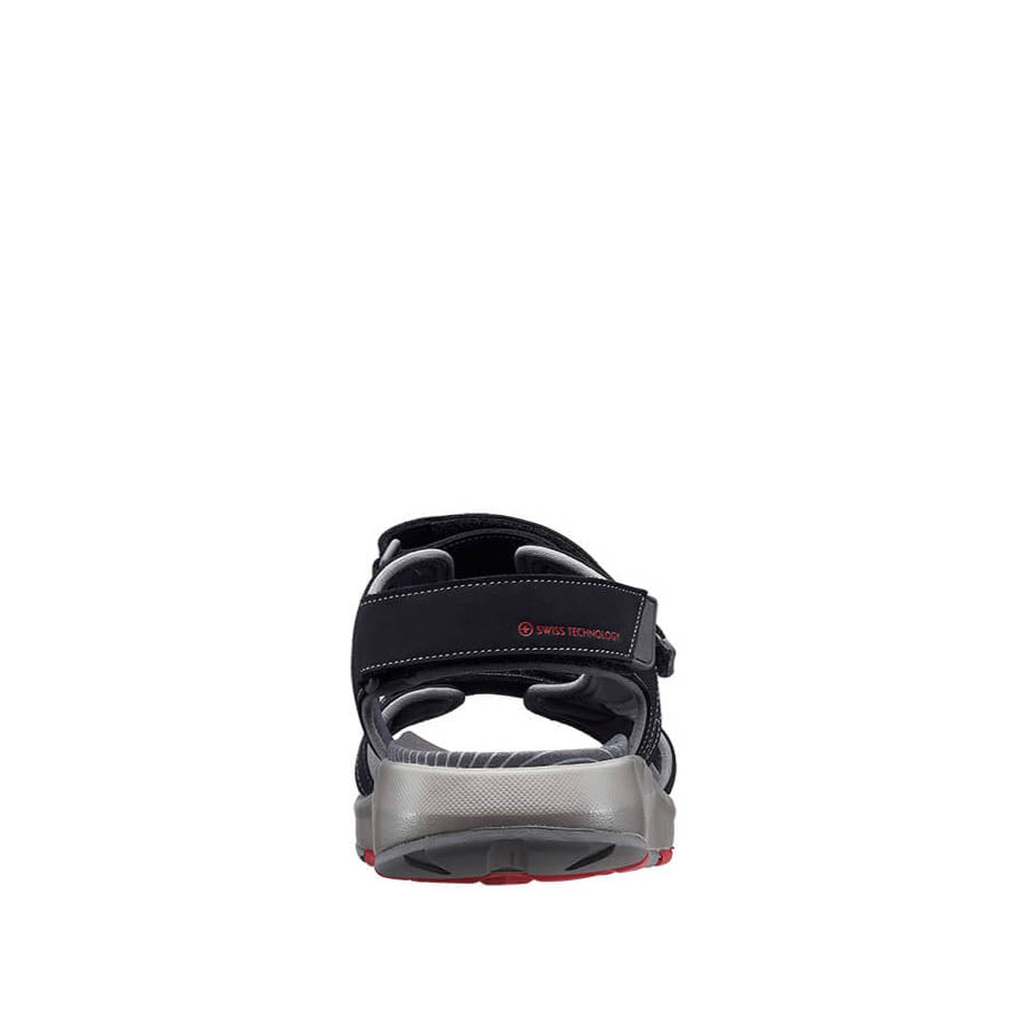 Alexander dark blue