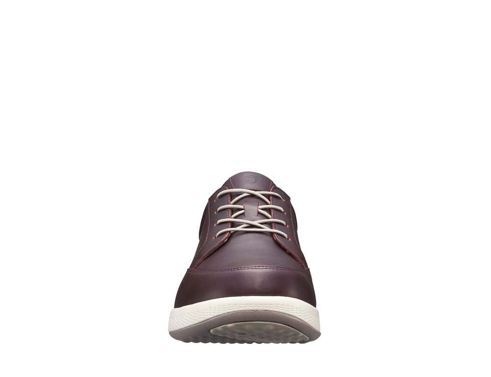 Boston dark brown