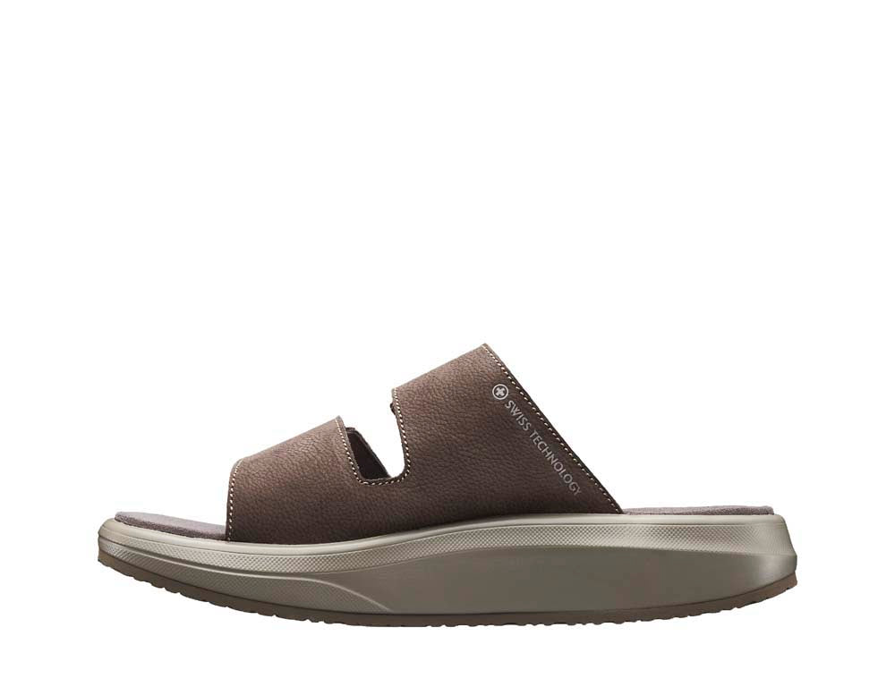 Max III brown
