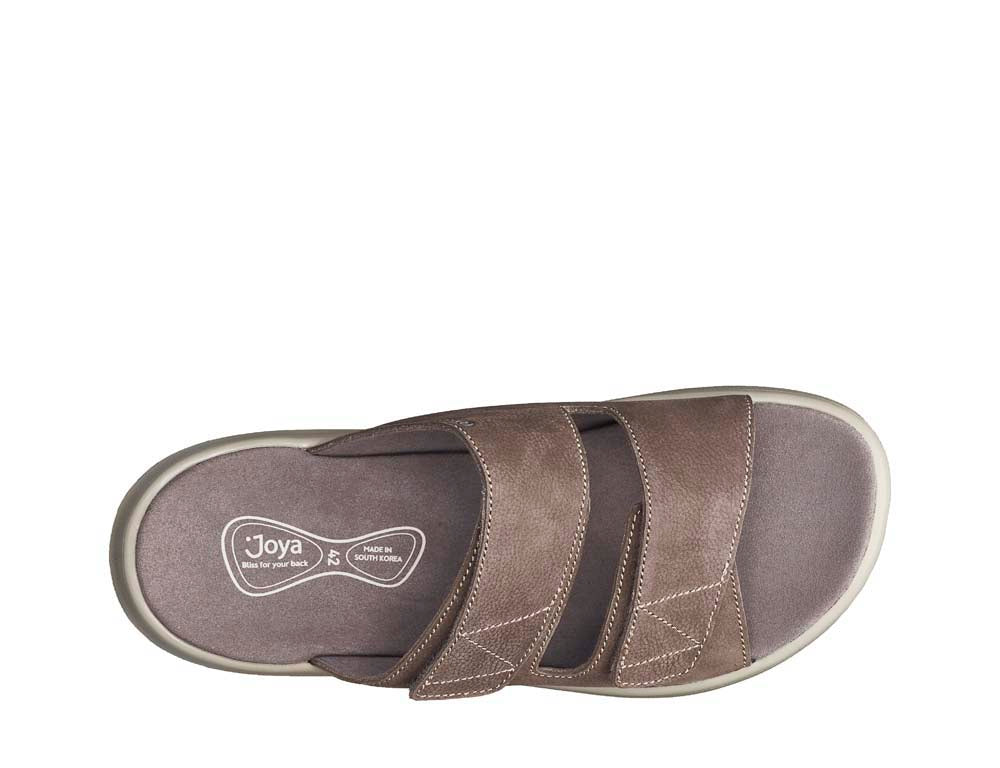 Max III brown