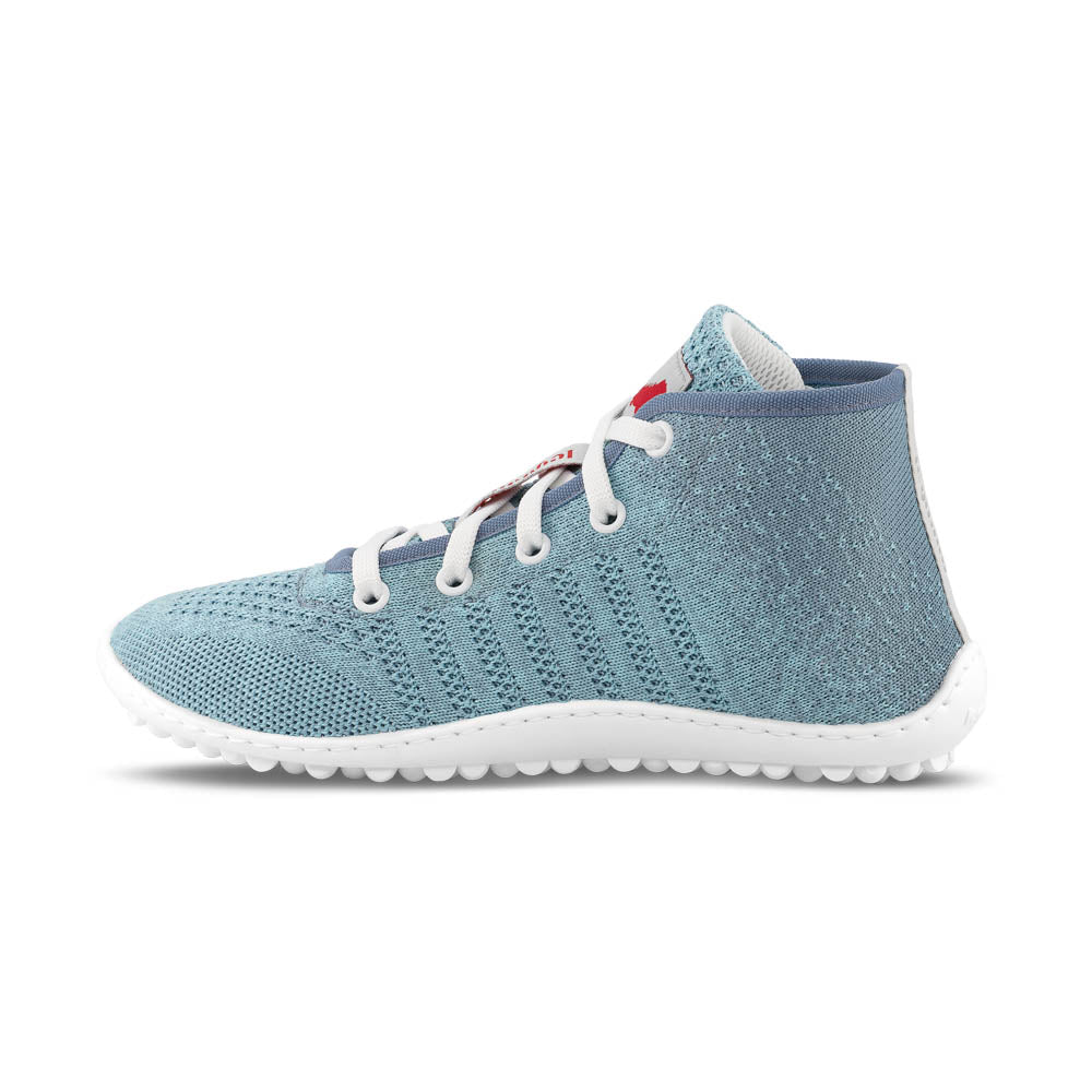 leguano go: seablue
