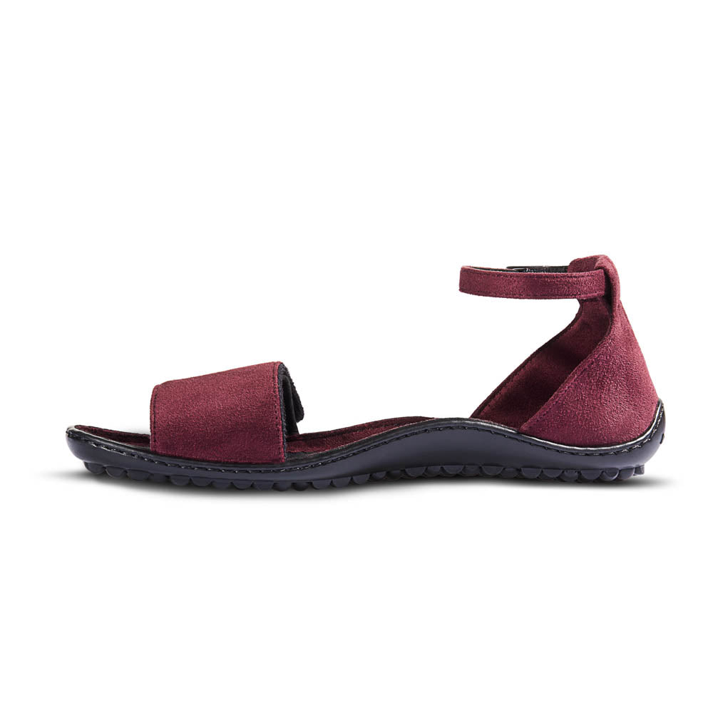 leguano jara bordeaux