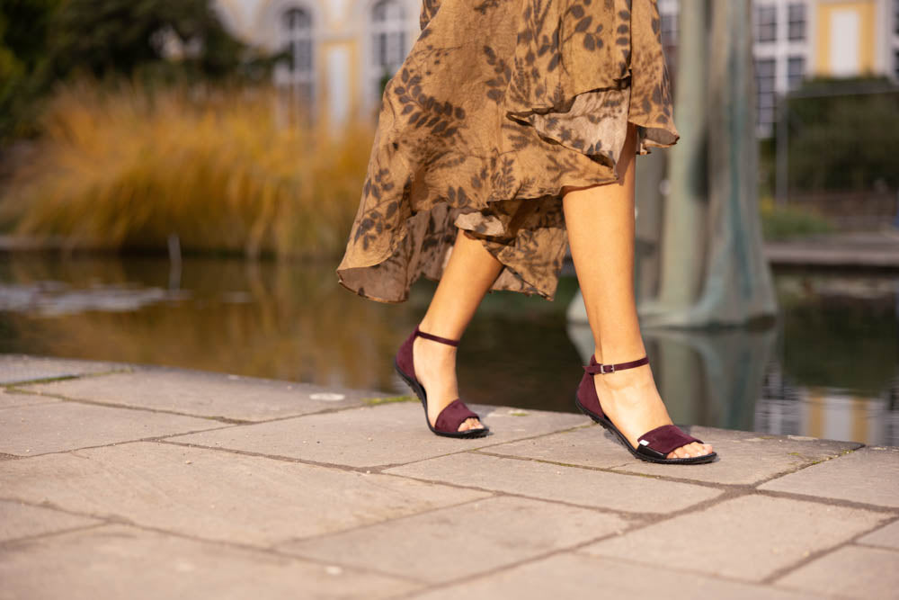 leguano jara bordeaux