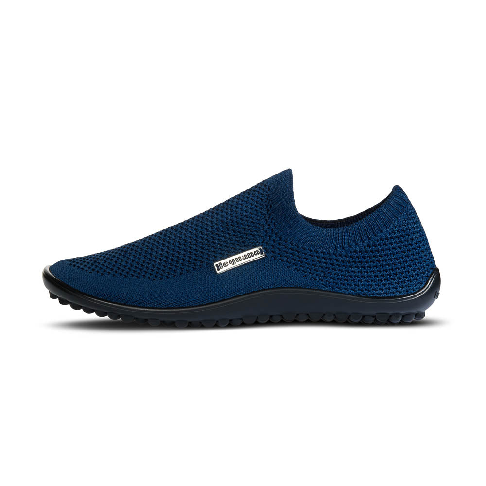 leguano scio blue