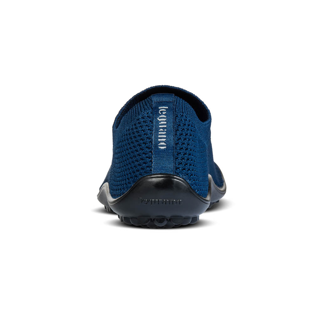 leguano scio blue