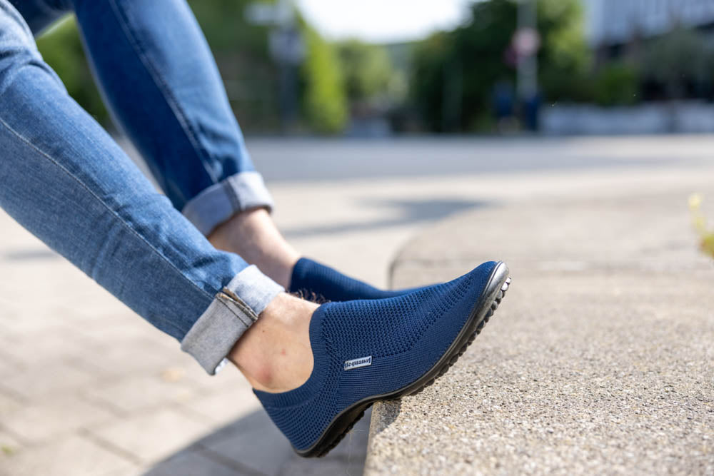 leguano scio blue