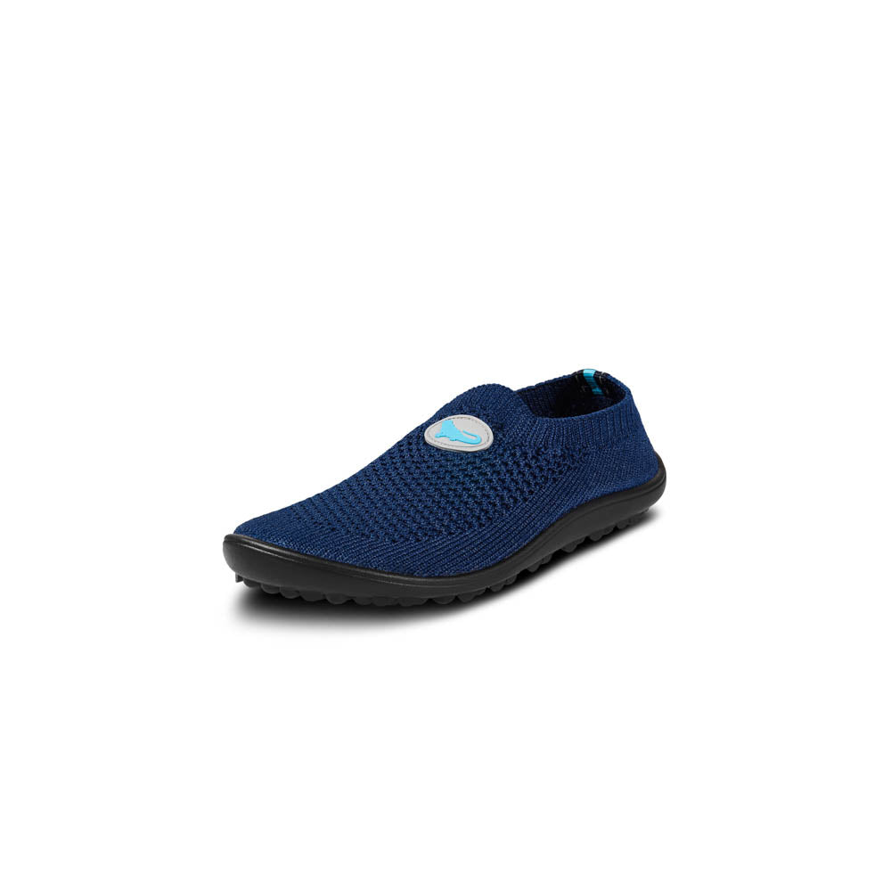 leguanito scio blue