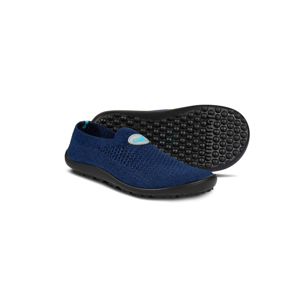 leguanito scio blue