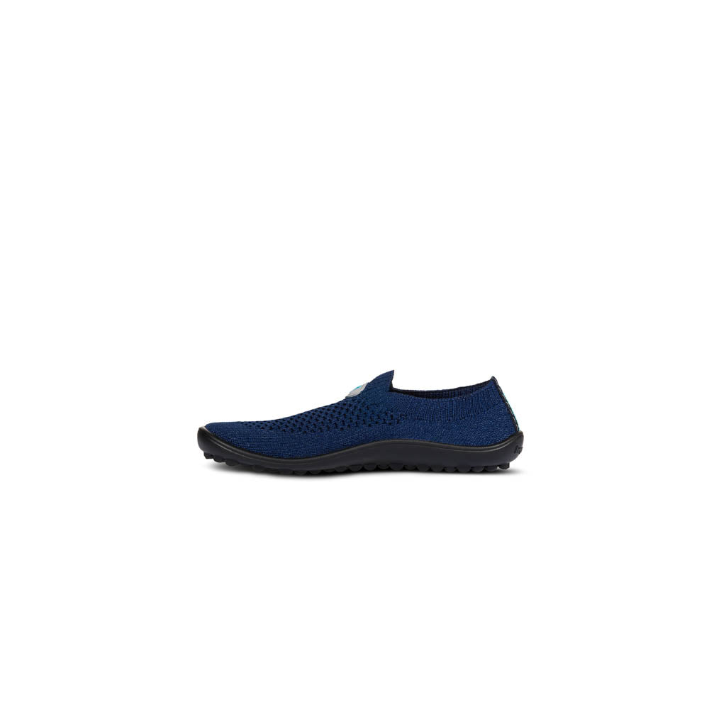 leguanito scio blue