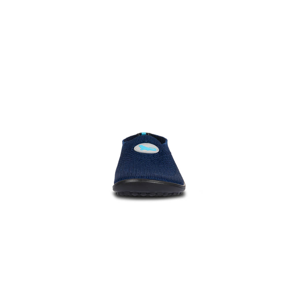 leguanito scio blue