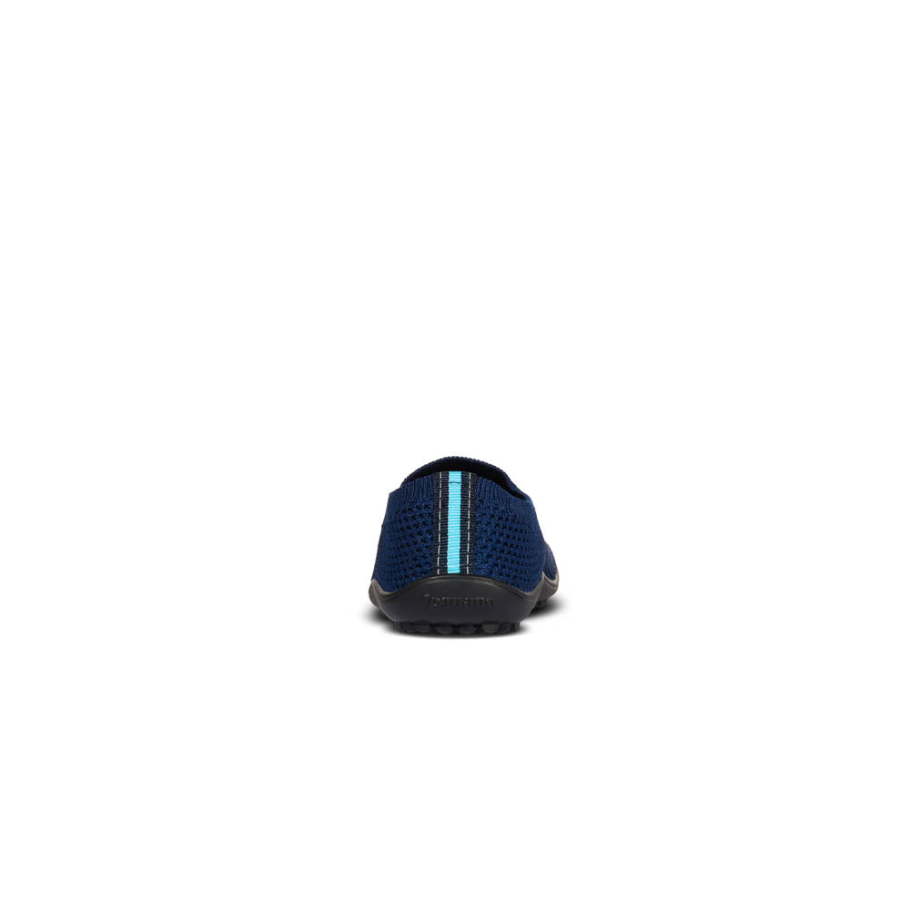 leguanito scio blue