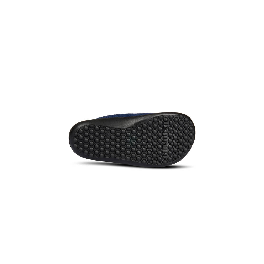 leguanito scio blue