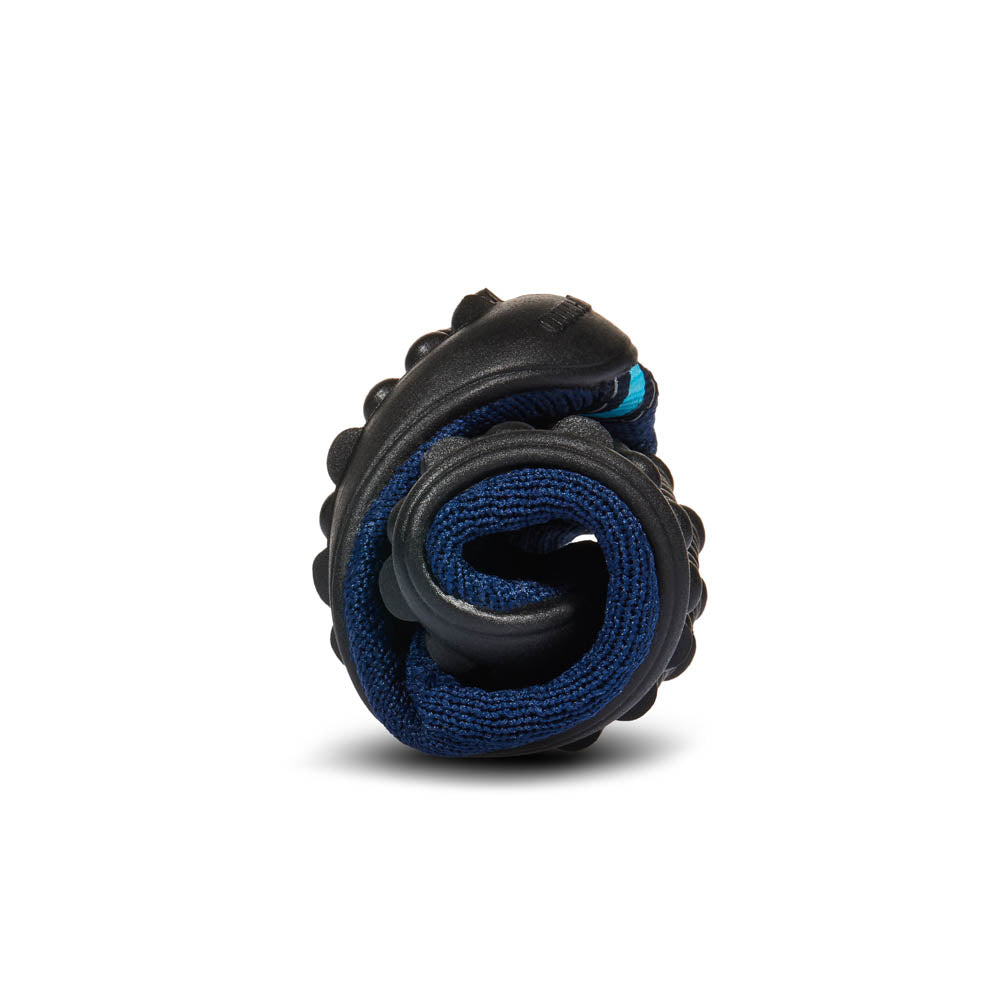 leguanito scio blue