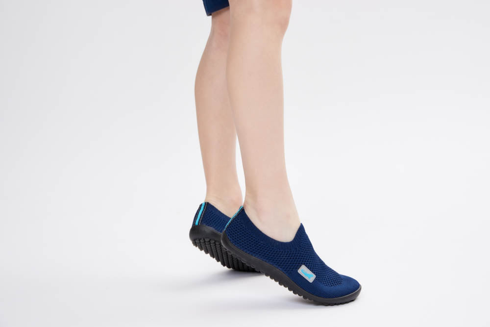 leguanito scio blue
