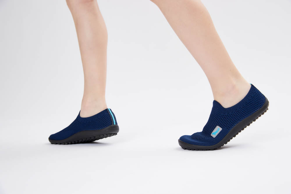 leguanito scio blue