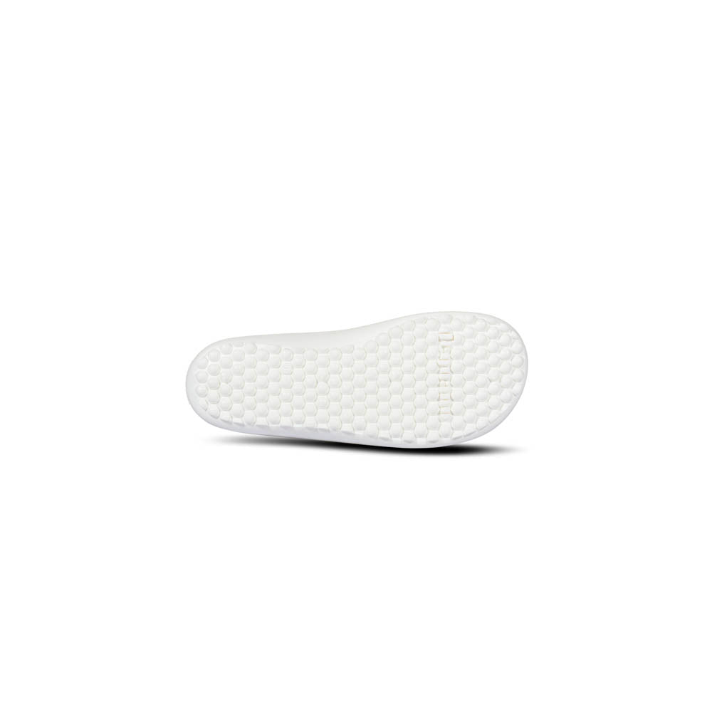 leguanito scio rose