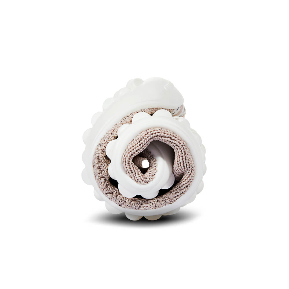 leguanito scio rose