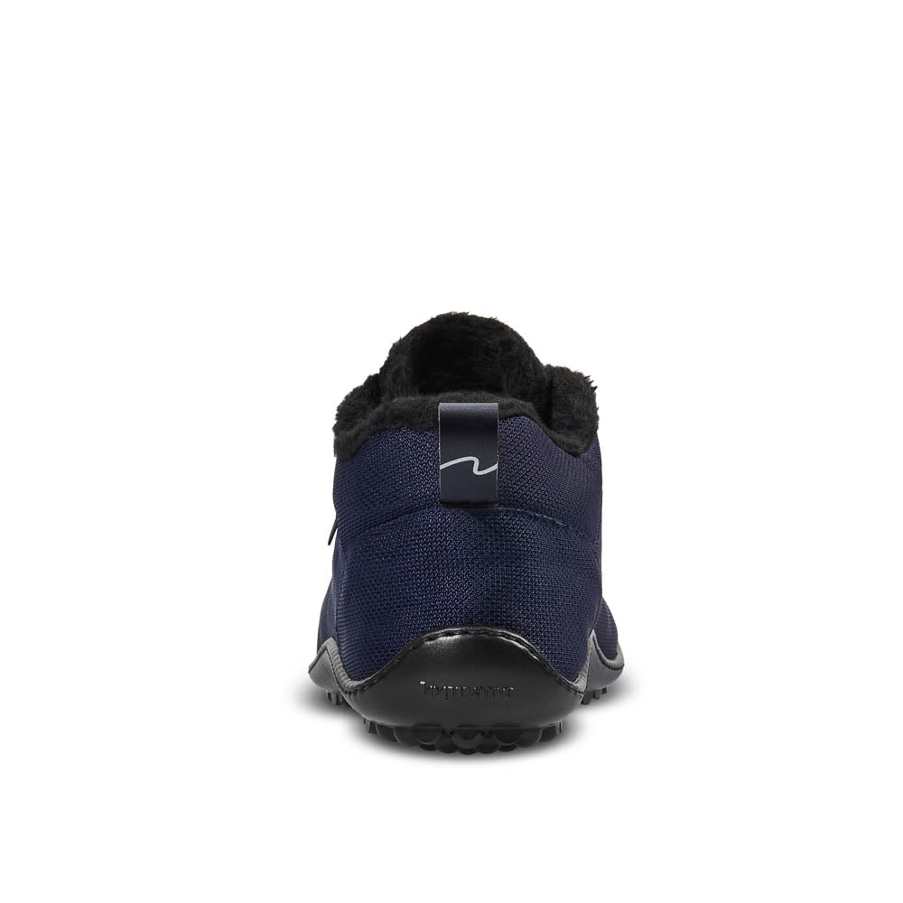 leguano galaxo blue