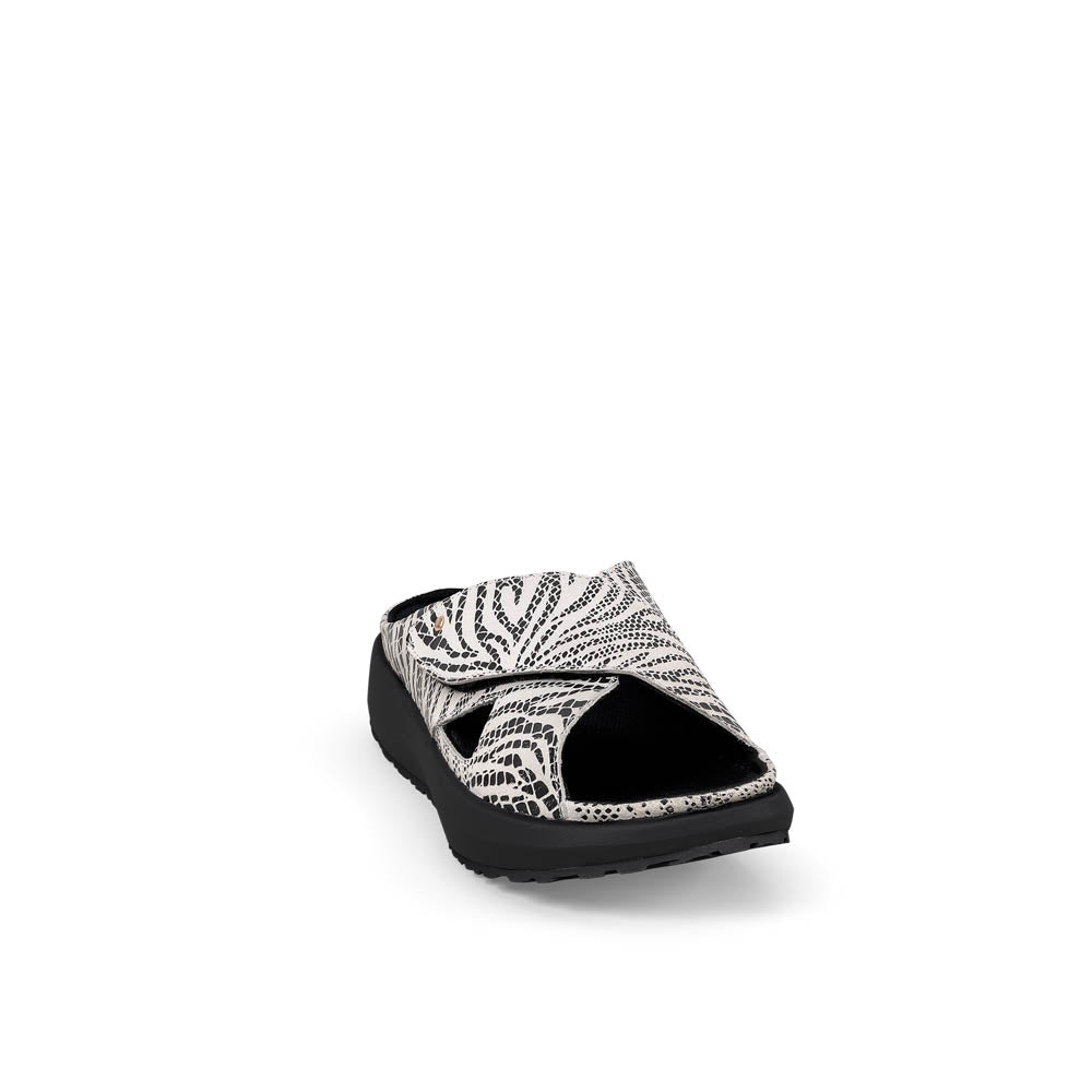 Alicante black-white