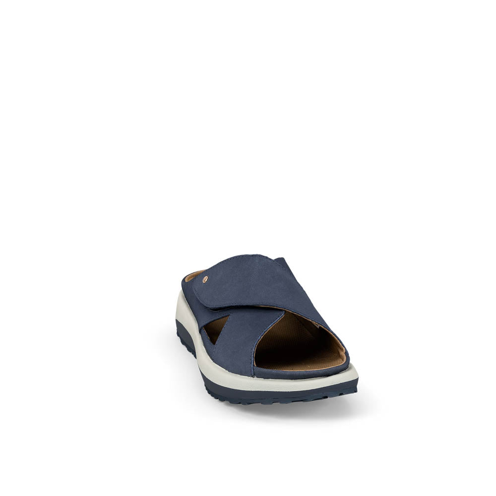 Alicante blue