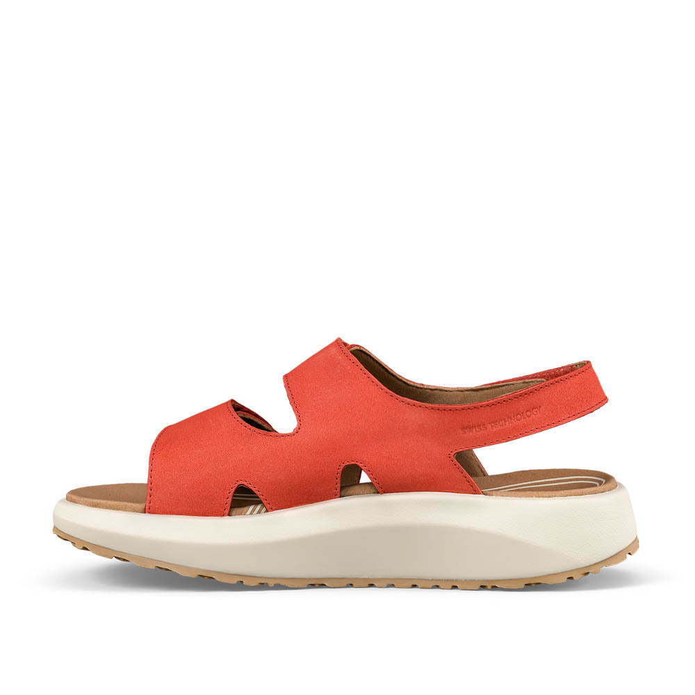 Panama red