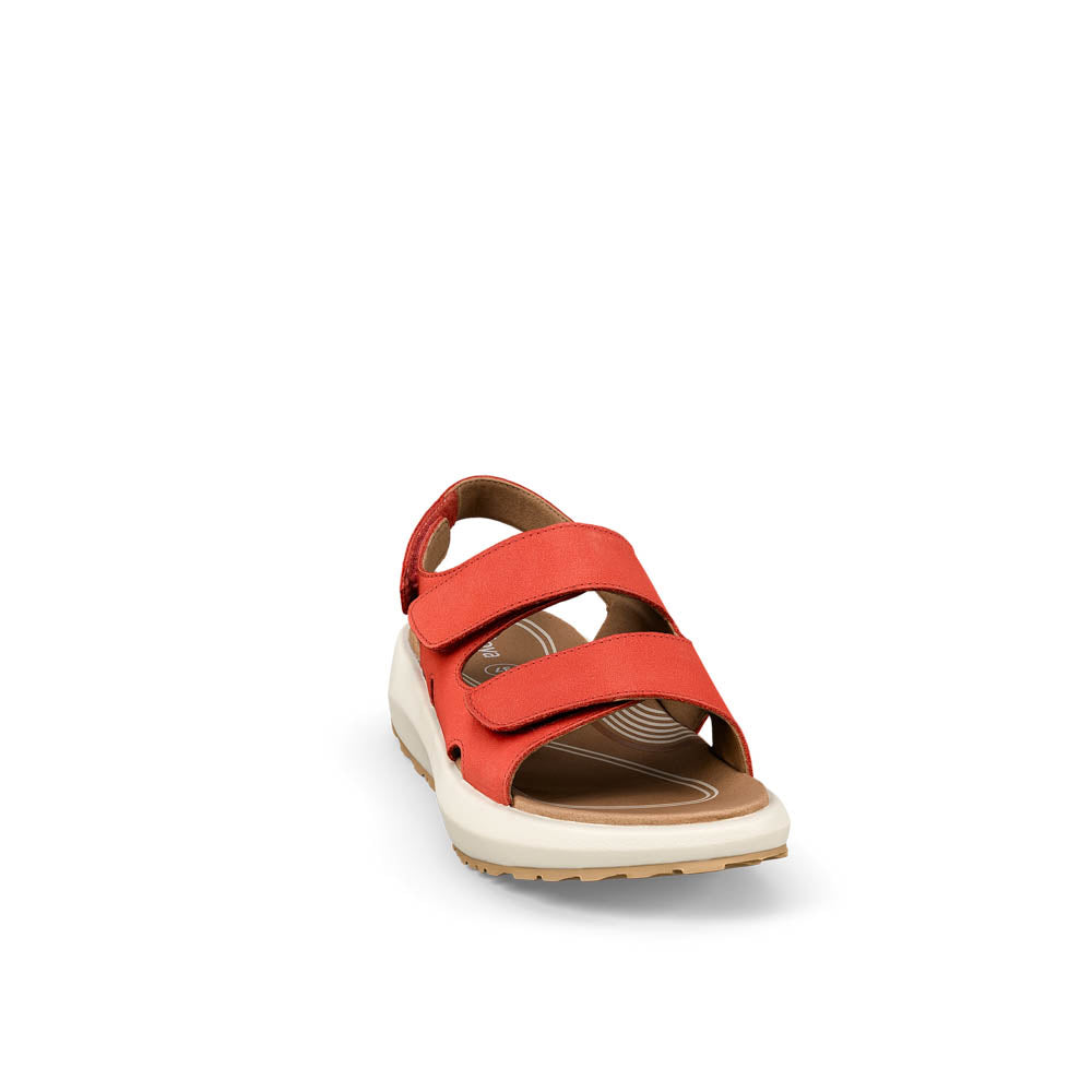 Panama red