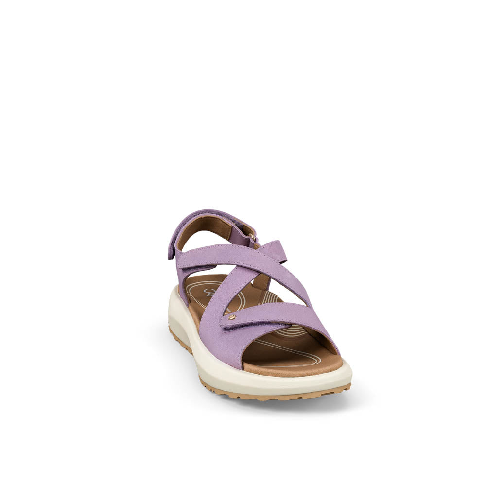 Jenny light purple