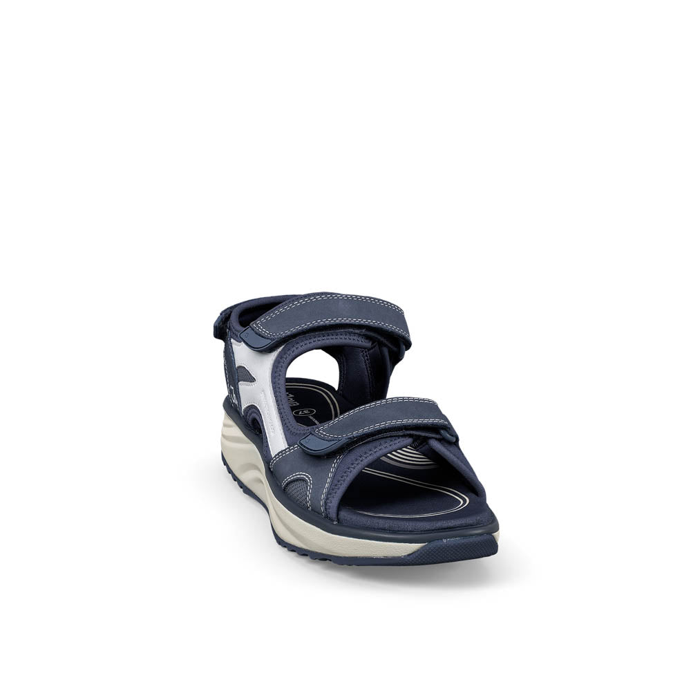 Komodo II blue