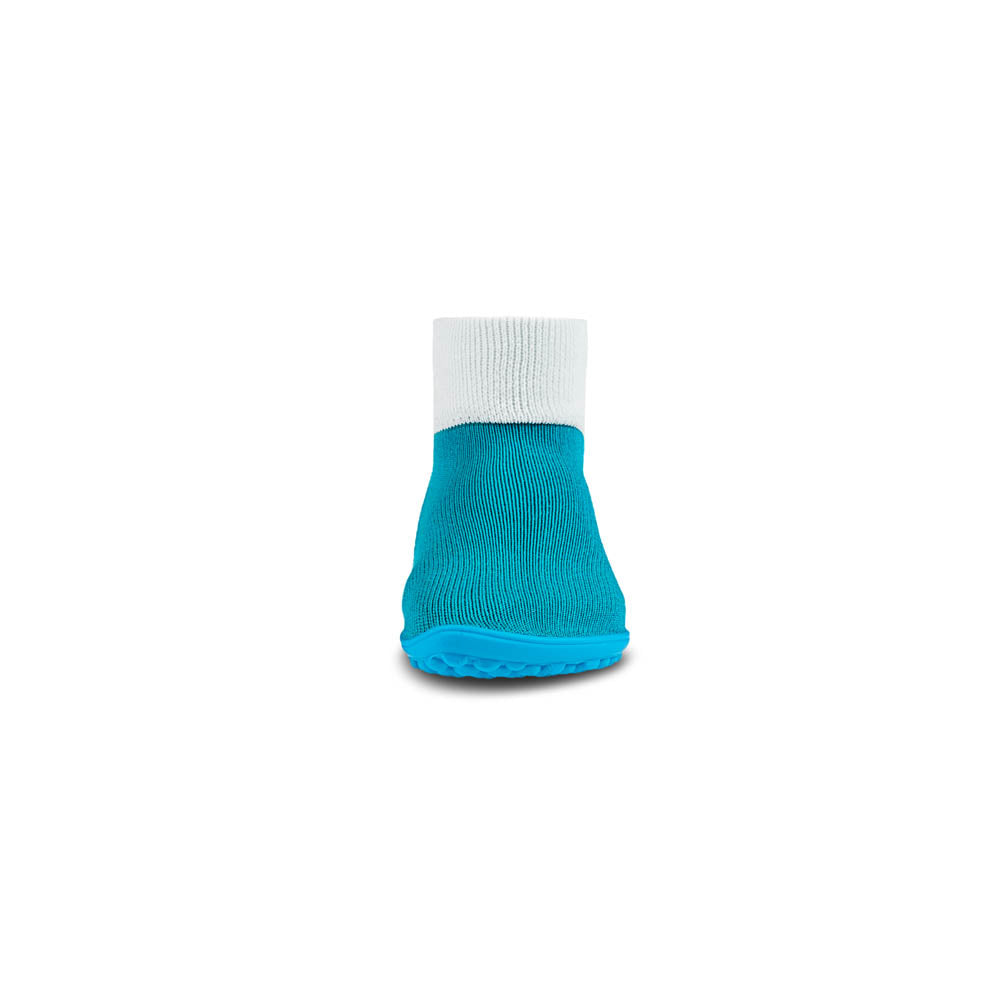 leguanito blue