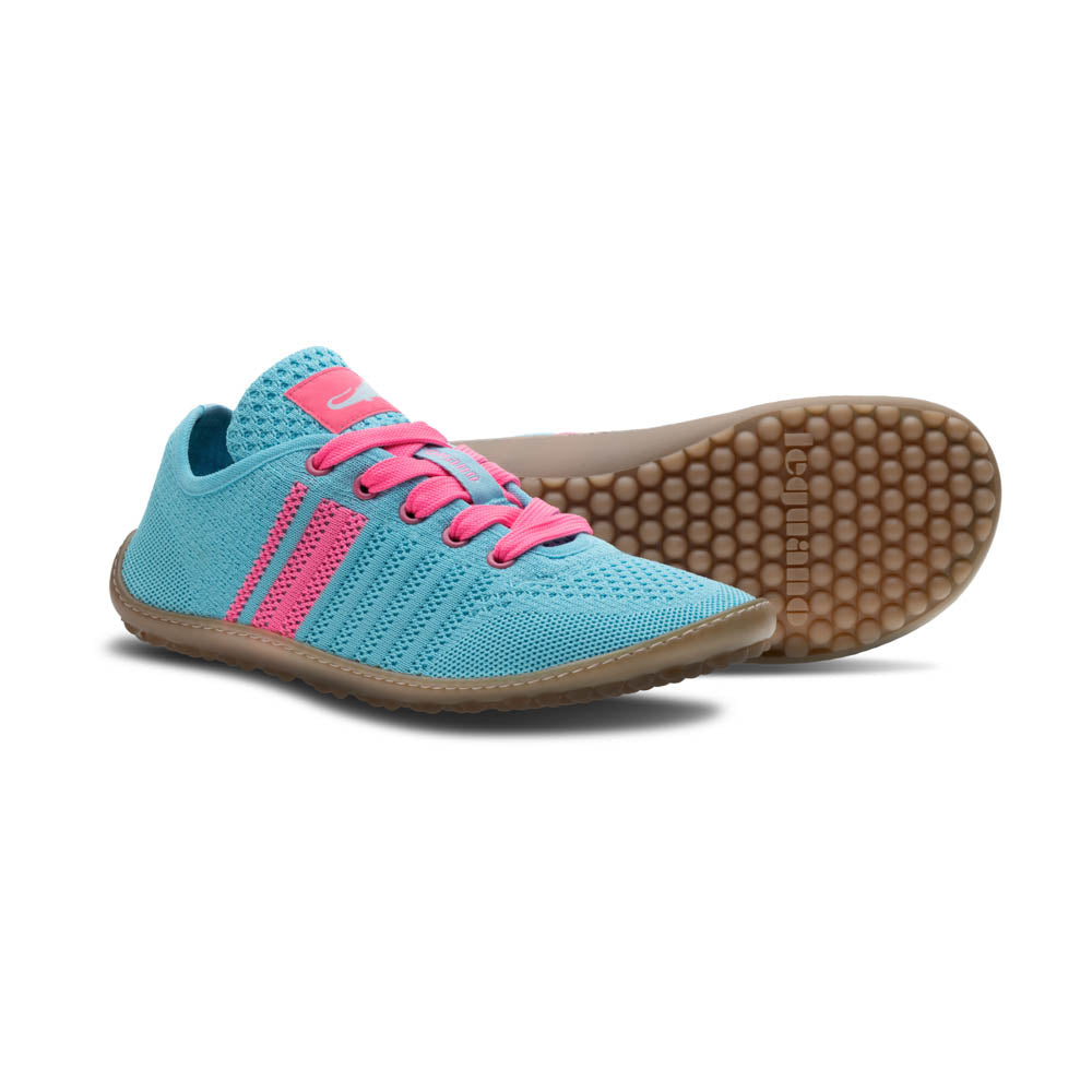 leguano caribeo blue