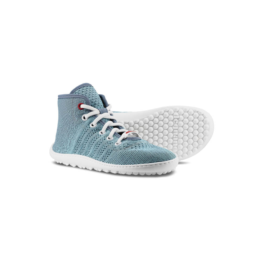 leguanito go seablue