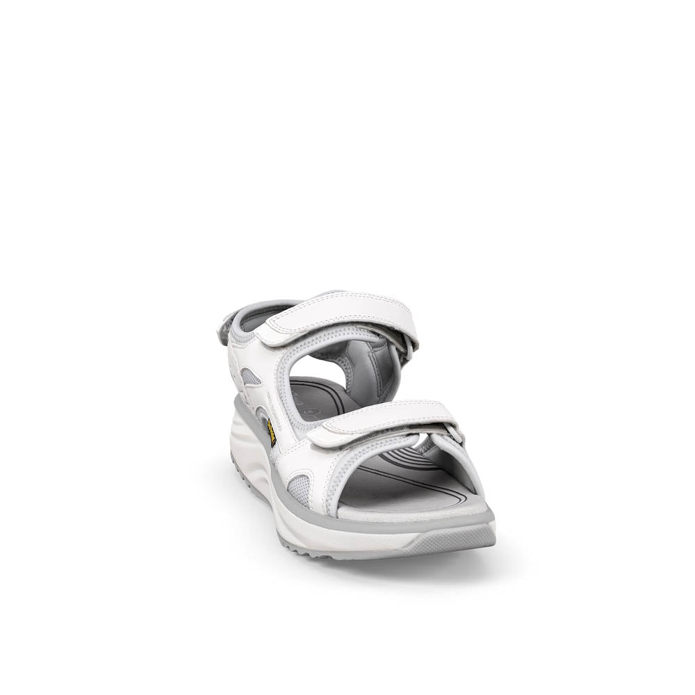 Komodo II SR white